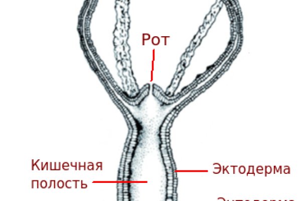 Кракен как попасть