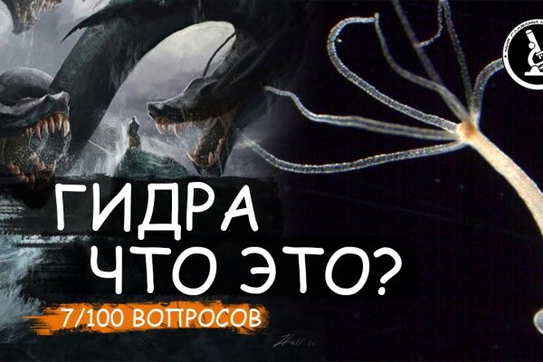 Kraken даркнет переходник