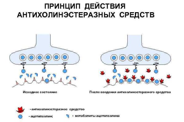 Kraken ссылка tor официальный сайт